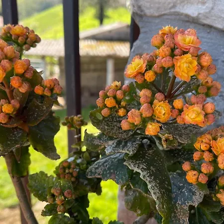 El Corralin Σαλέ *