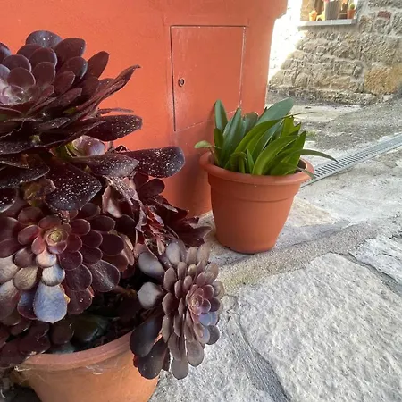 El Corralin La Frecha