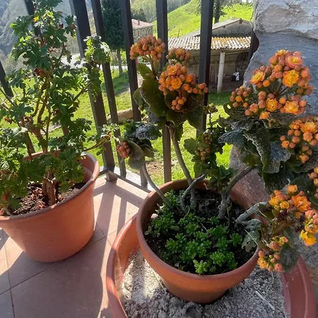 El Corralin * La Frecha