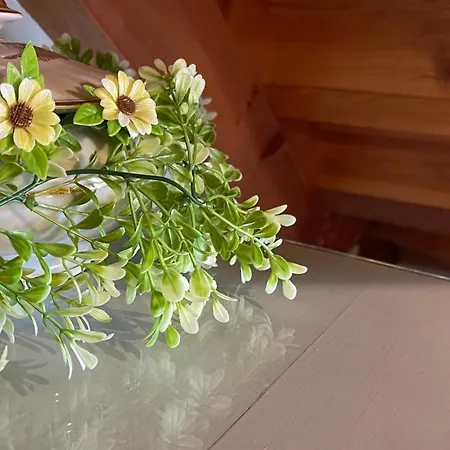 Σαλέ El Corralin *