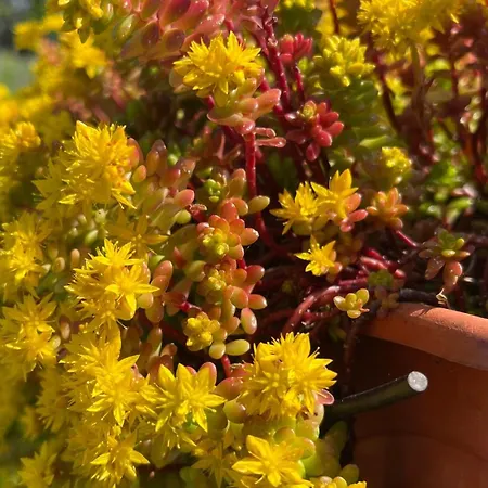 El Corralin Σαλέ La Frecha