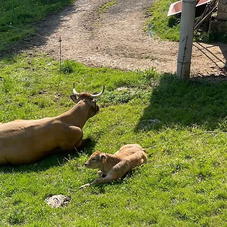 El Corralin La Frecha