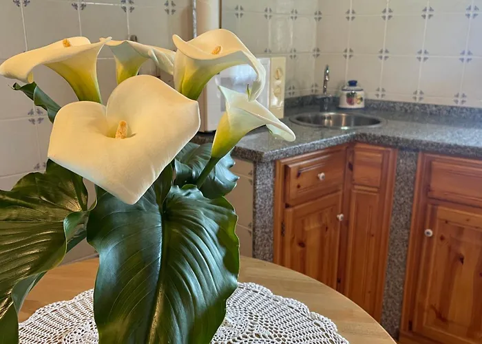 El Corralin Chalet *