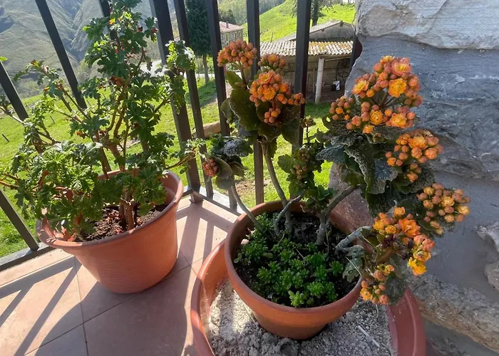 El Corralin * La Frecha