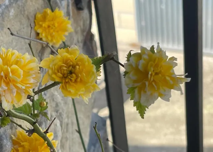 El Corralin Chalet La Frecha