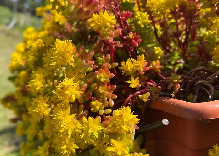 El Corralin Chalet La Frecha