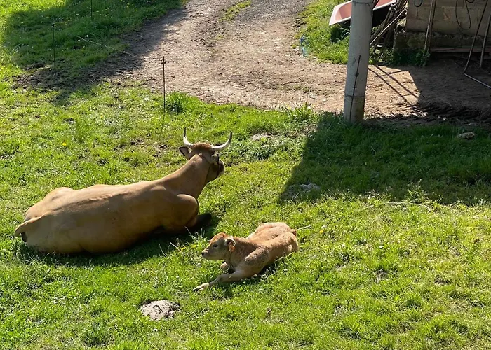 El Corralin La Frecha
